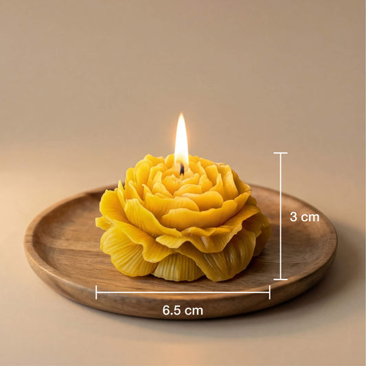 Didelio bijūno žiedo žvakės dydis centimetrais