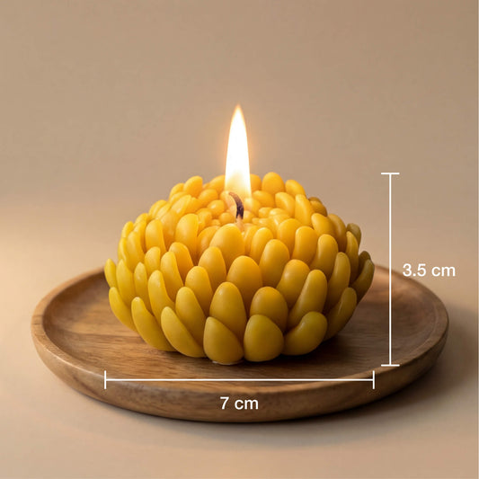 biciu-vasko-zvake-geles-ziedas-ismatavimai