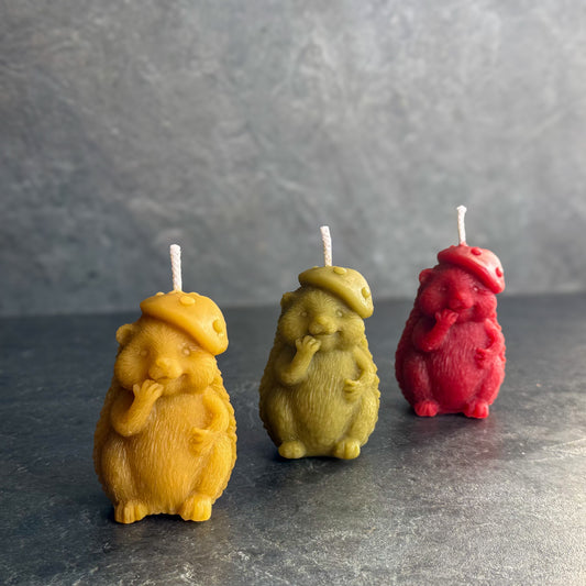 Ežiuko žvakių rinkinys „Lietuvos trispalvė“