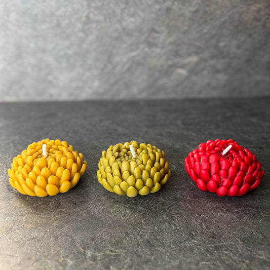 Gėlės žiedo žvakių rinkinys „Lietuvos trispalvė“