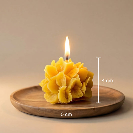 biciu-vasko-zvake-ziedynelis-ismatavimai